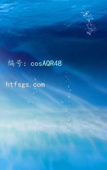 Χ